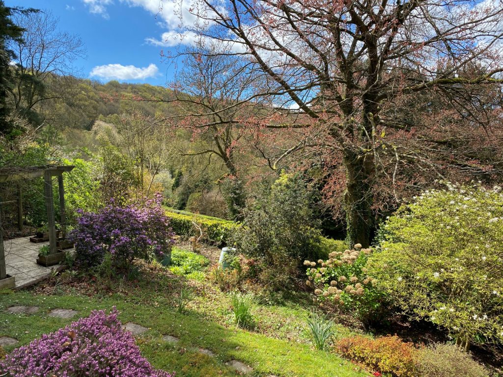 Treetops garden