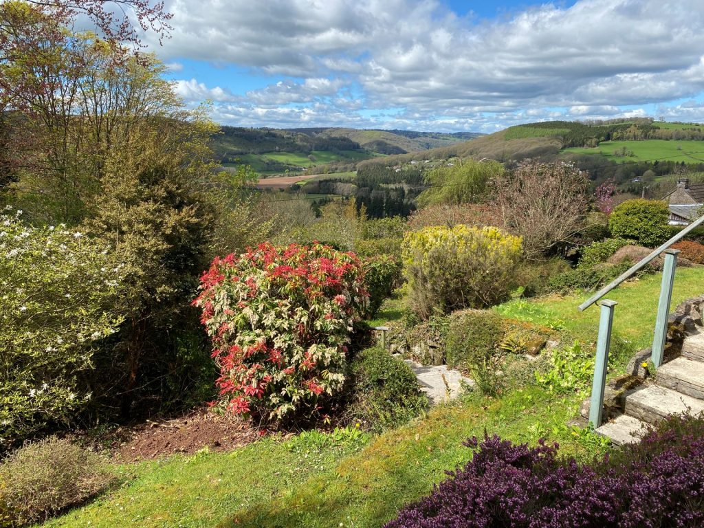 Treetops garden